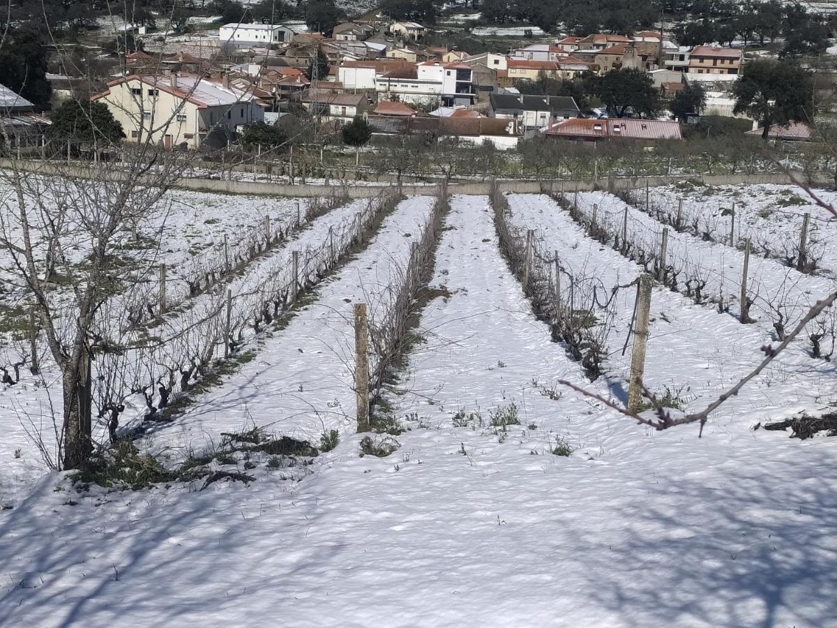 Vivenda Das Eiras Vale de Porco Extérieur photo